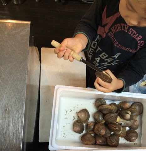 えぞいしかげがい・エゾイシカゲガイ・蝦夷石陰貝・Clinocardium